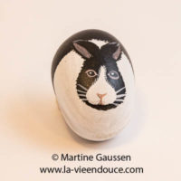 Santon Lapin Santon Lapin
