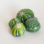 Le cactus